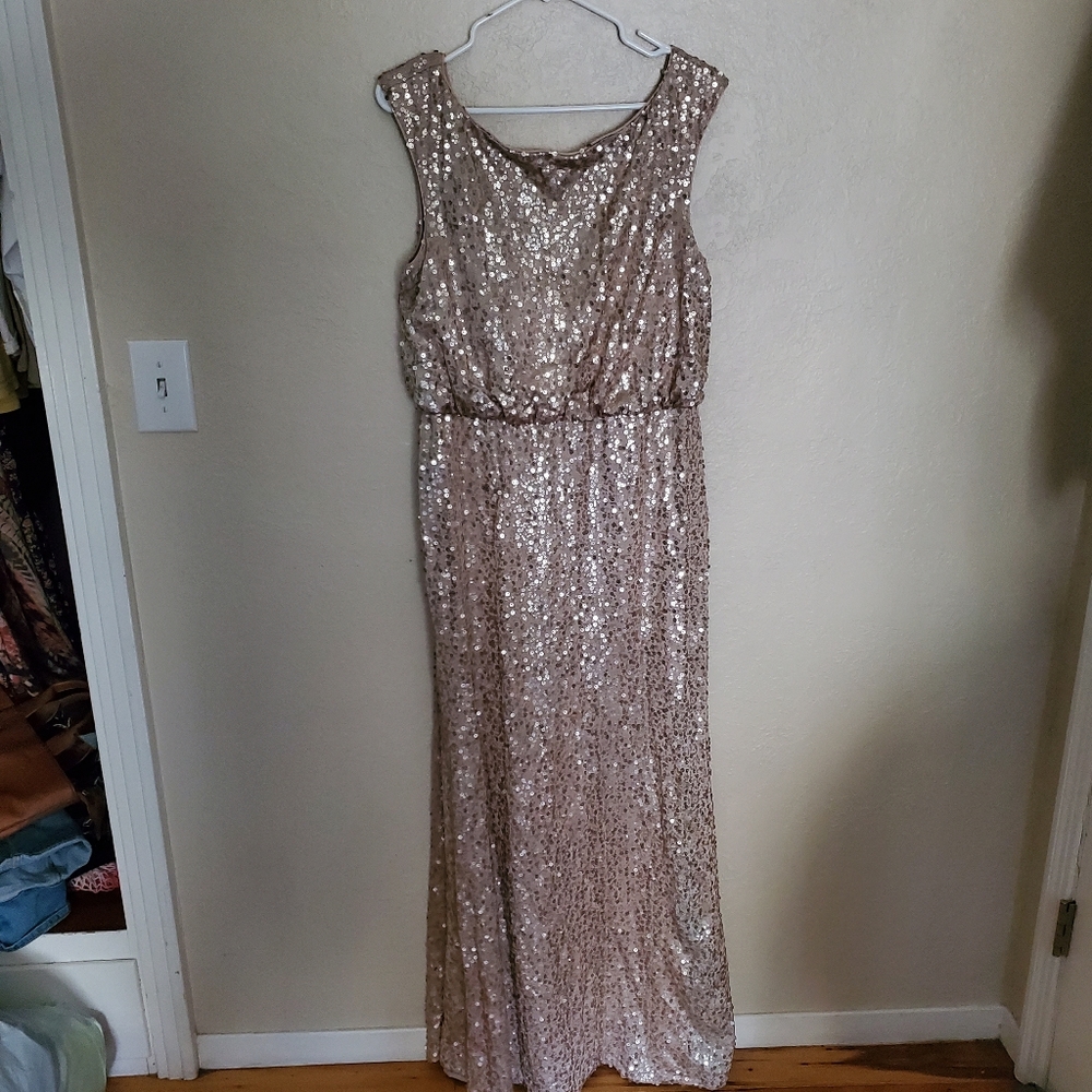 David Bridals Champaign Sequin Dress Large